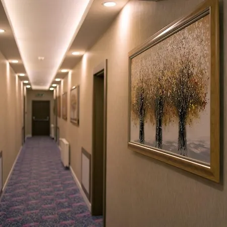 Hotel Urofi̇z Termal 3*