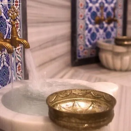 Hotel Urofi̇z Termal 3*