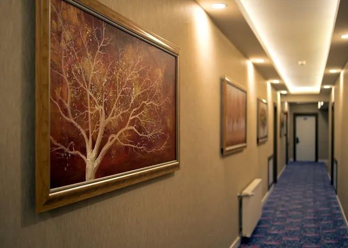 Urofi̇z Termal Haymana